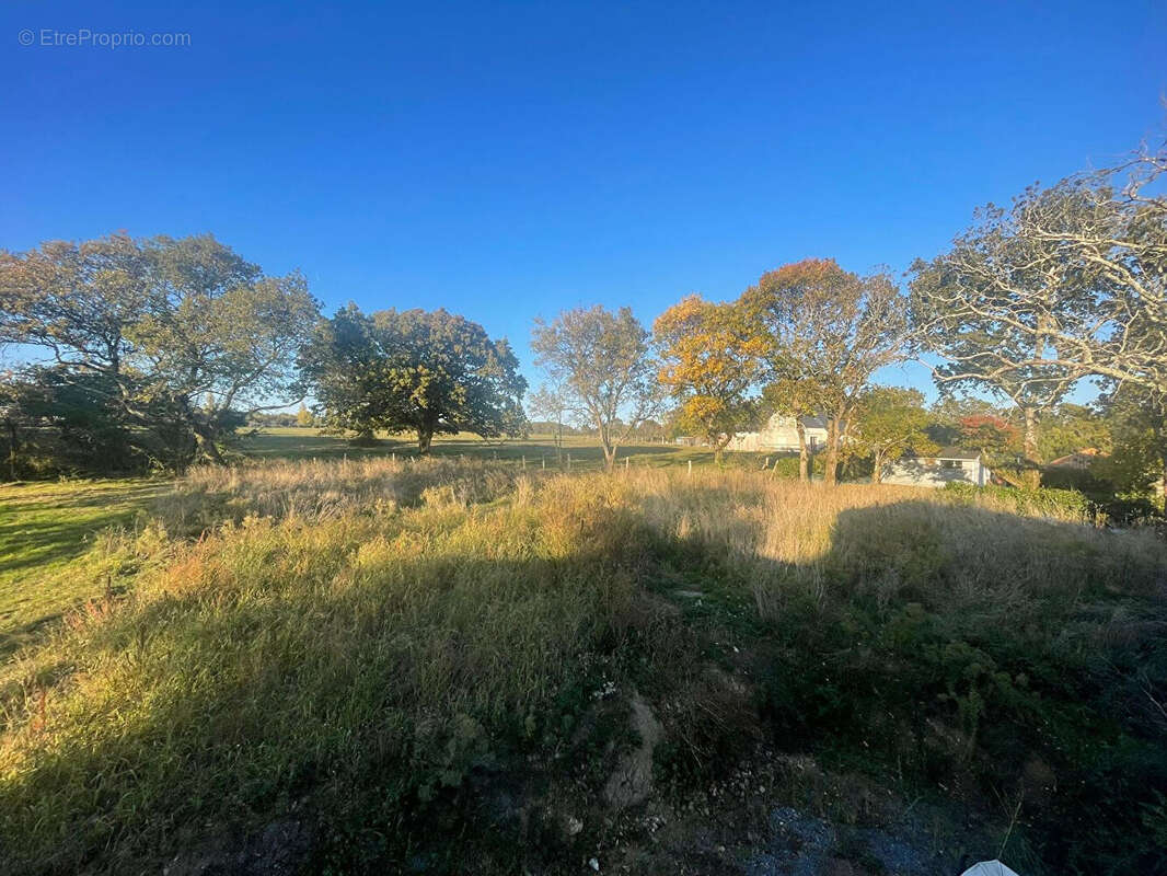 Maison à SAINT-NAZAIRE