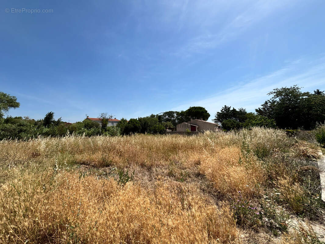 Terrain à LEZIGNAN-CORBIERES