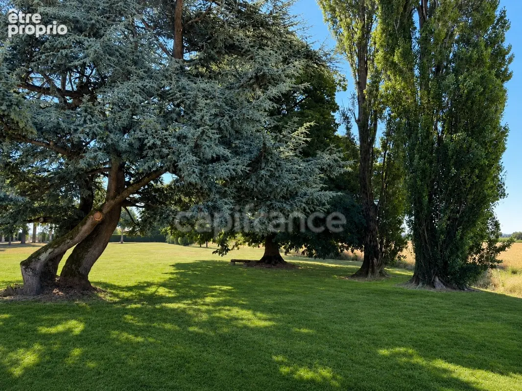 Domaine de Montiernoz – Château du XVIIIᵉ siècle et son parc (Ain) - photo 3