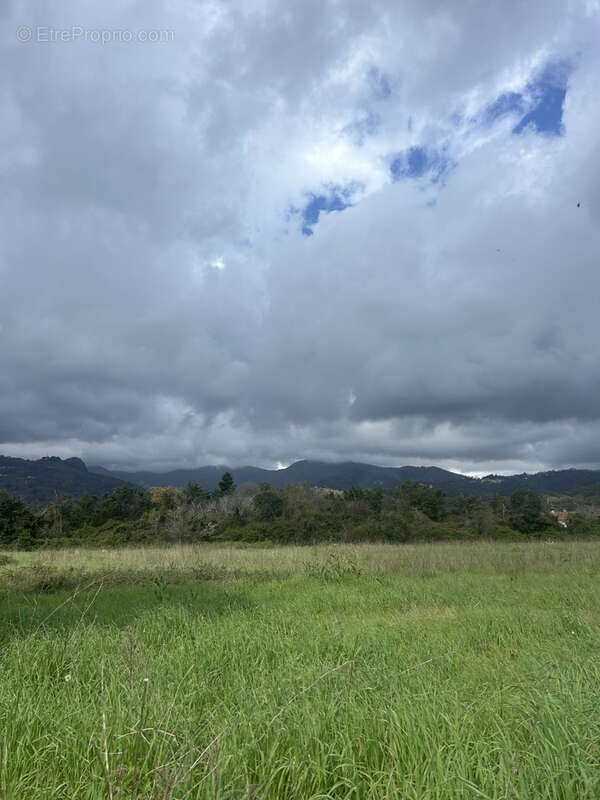 Appartement à SANTA-LUCIA-DI-MORIANI