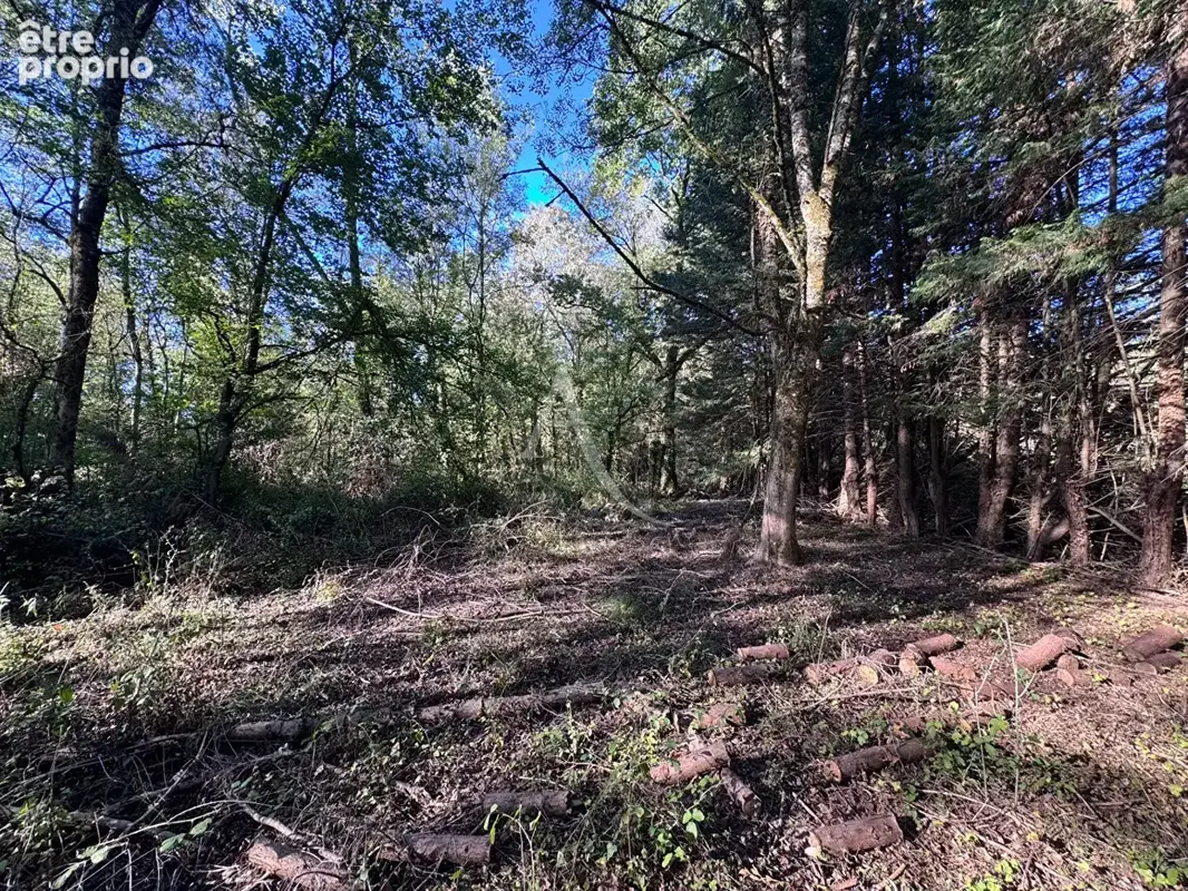 Terrain de loisirs Venansault - photo 2