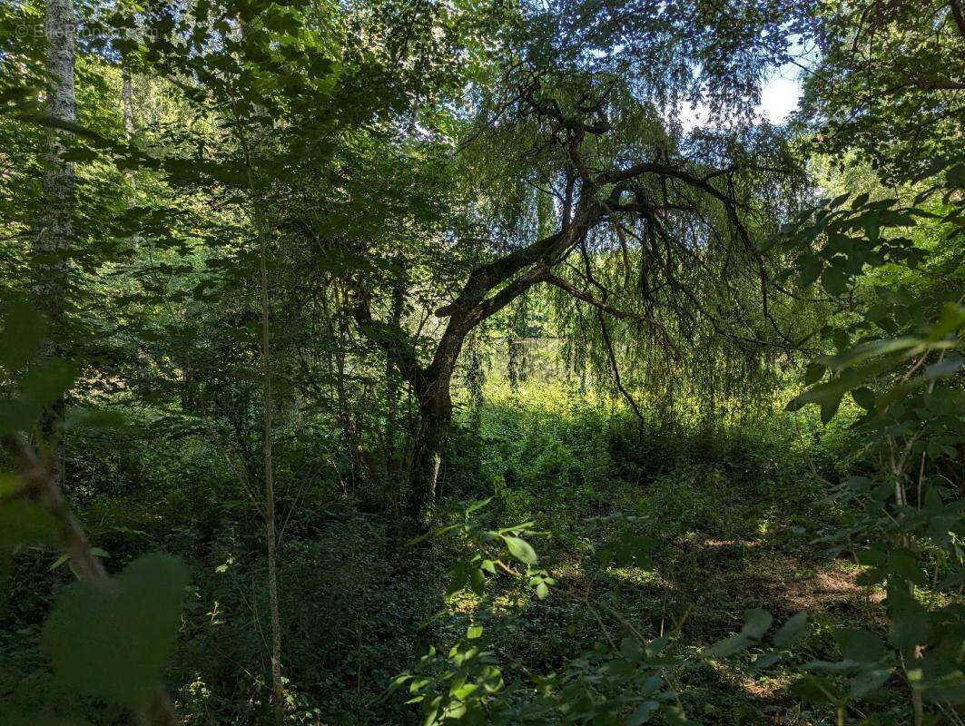 Maison à SAINT-GIRONS