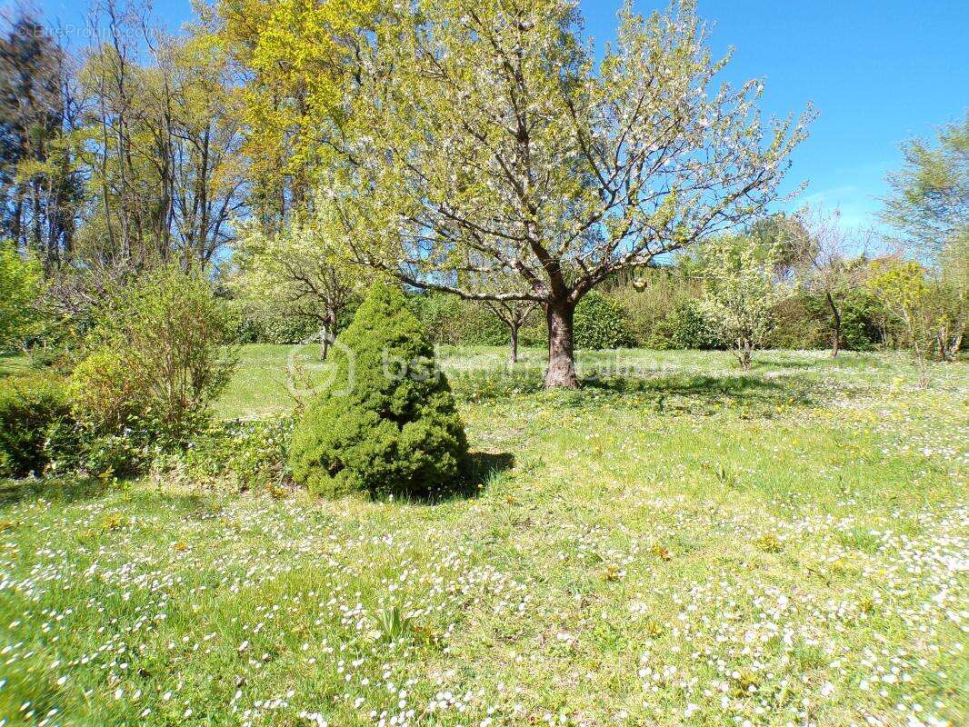 maison 230 m² 10 pièces - photo 20