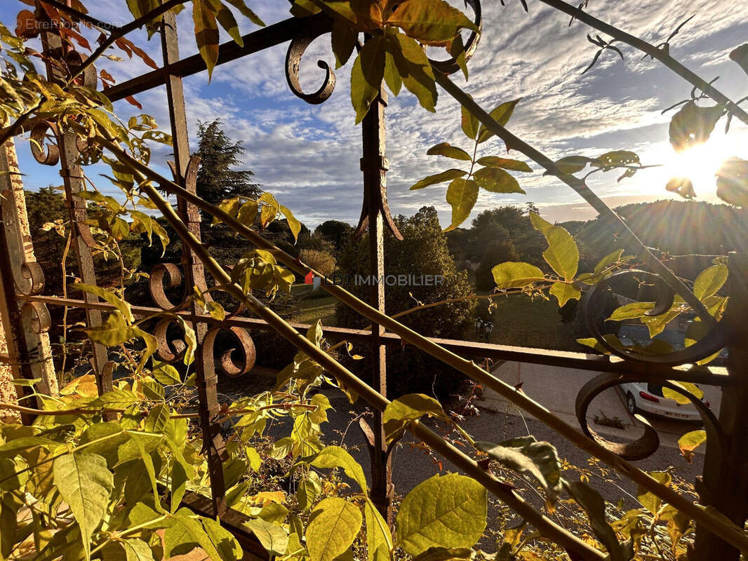 Autre à ARGELES-SUR-MER