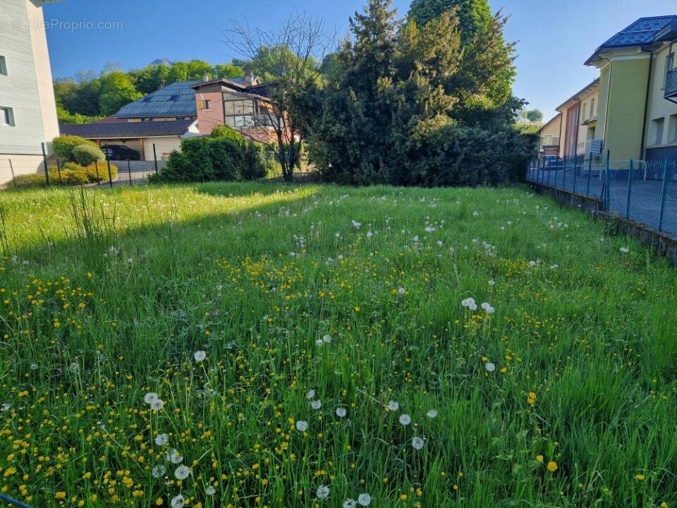 Terrain à FRONTENEX