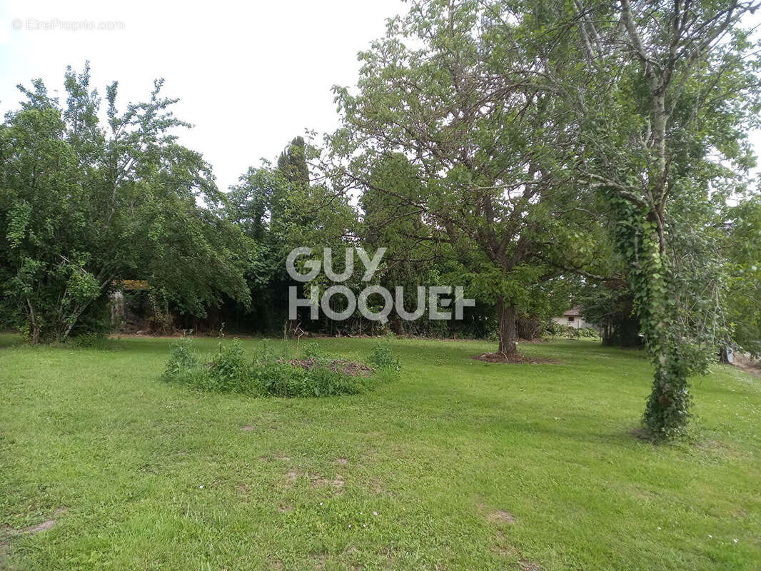 Terrain à MONTCARET