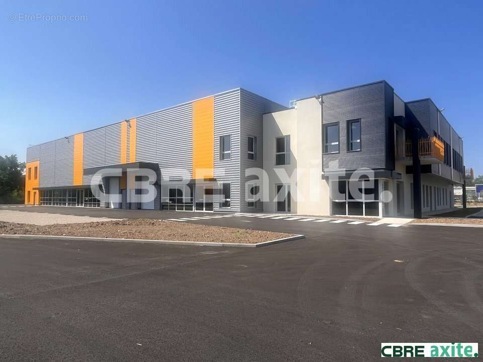 655 m² à Tignieu-Jameyzieu  - photo 2