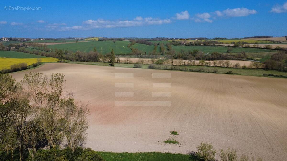 Terrain à SAINT-FELIX-LAURAGAIS