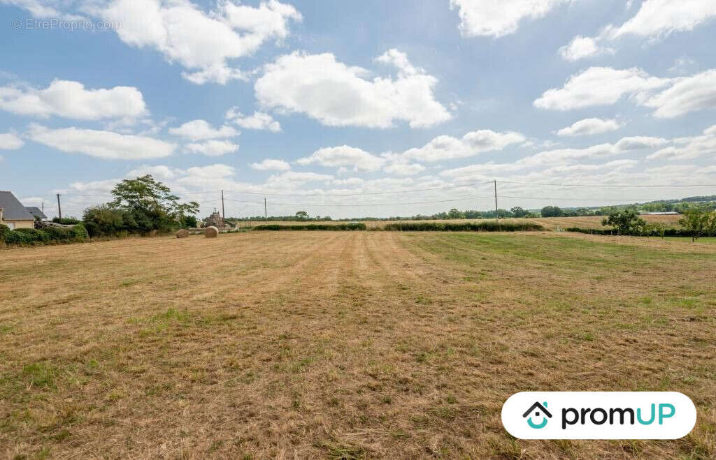 Terrain à SION-LES-MINES