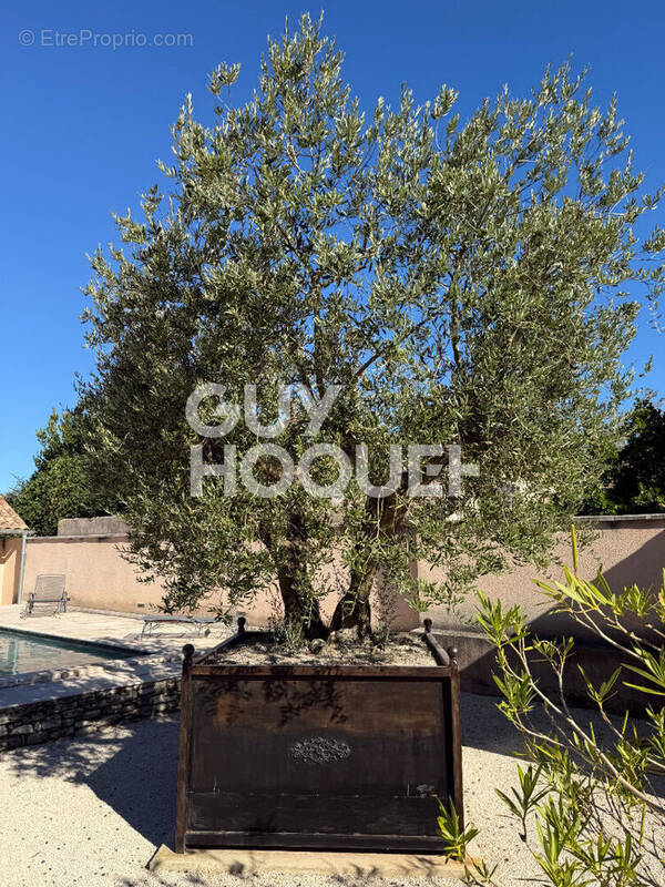 Maison à ALTHEN-DES-PALUDS