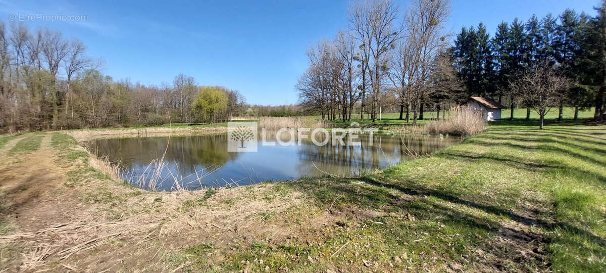 Terrain à GRANDVILLARS