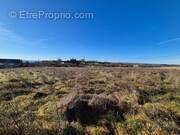 Terrain à PEYRIGNAC