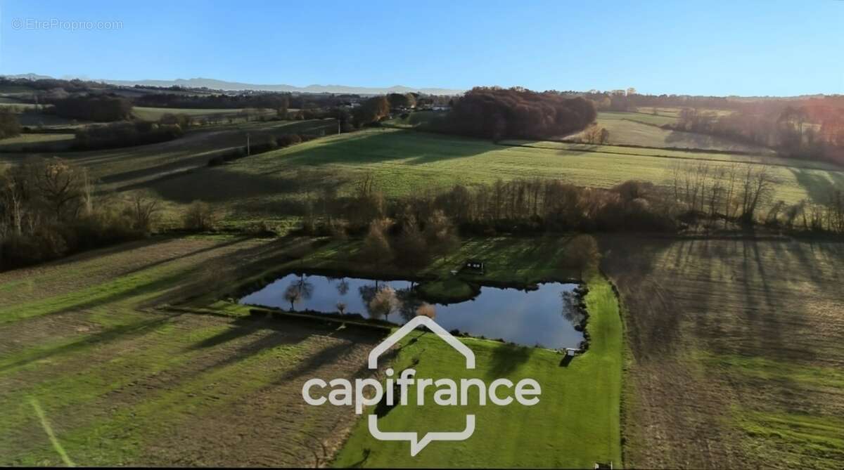 Saint Cricq Chalosse (40), Maison familiale de plain-pied avec dépendance - étang - sur 1 hectare de terrain en Chalosse - photo 4