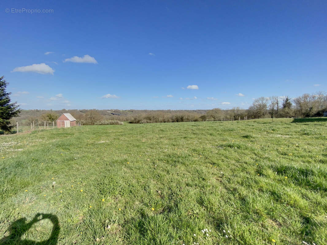 Terrain à LALONQUETTE