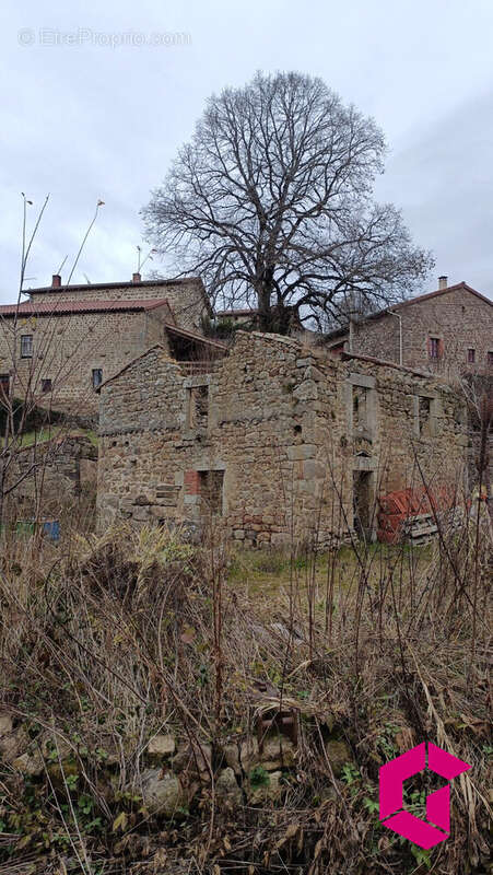 Terrain à USSON-EN-FOREZ