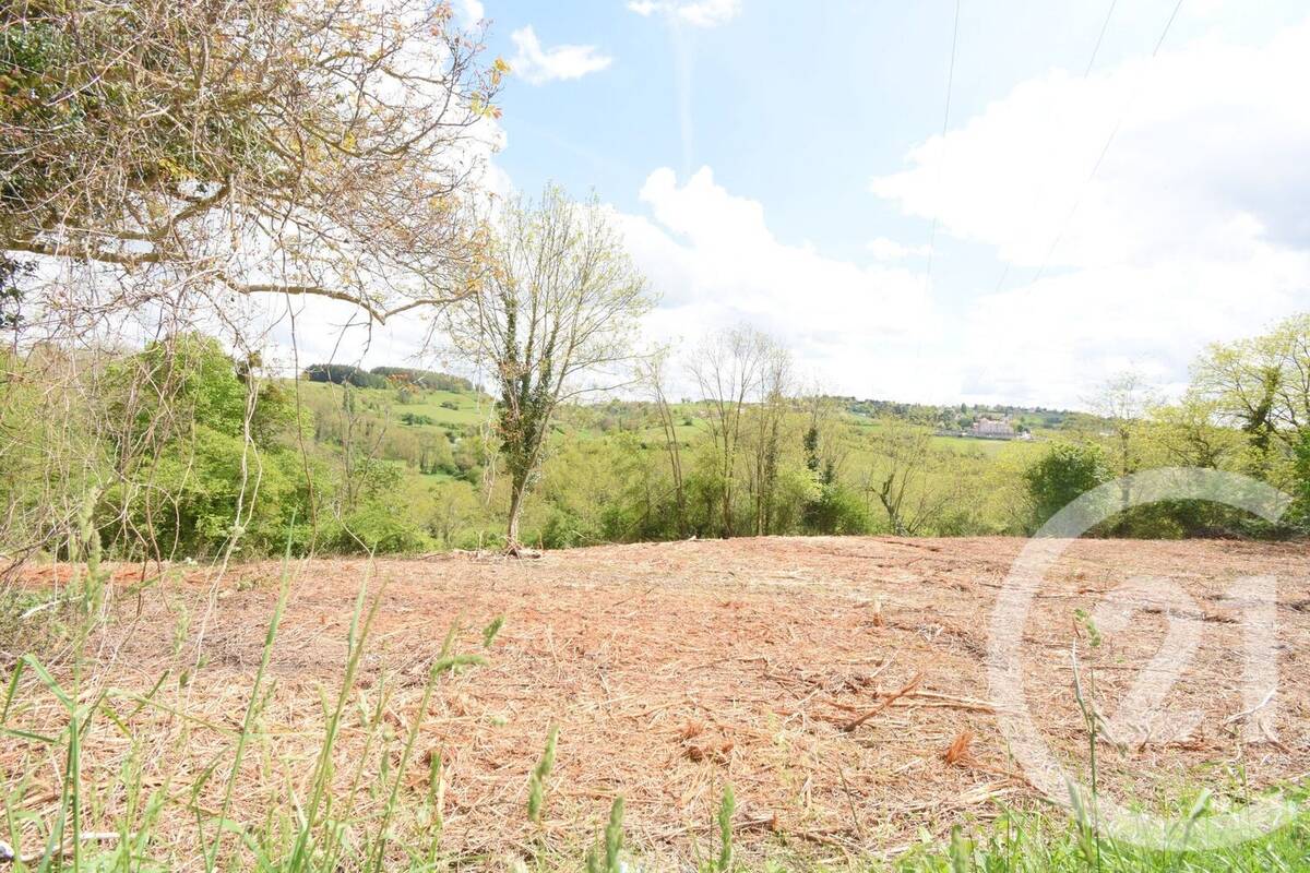Terrain à CREUZIER-LE-VIEUX
