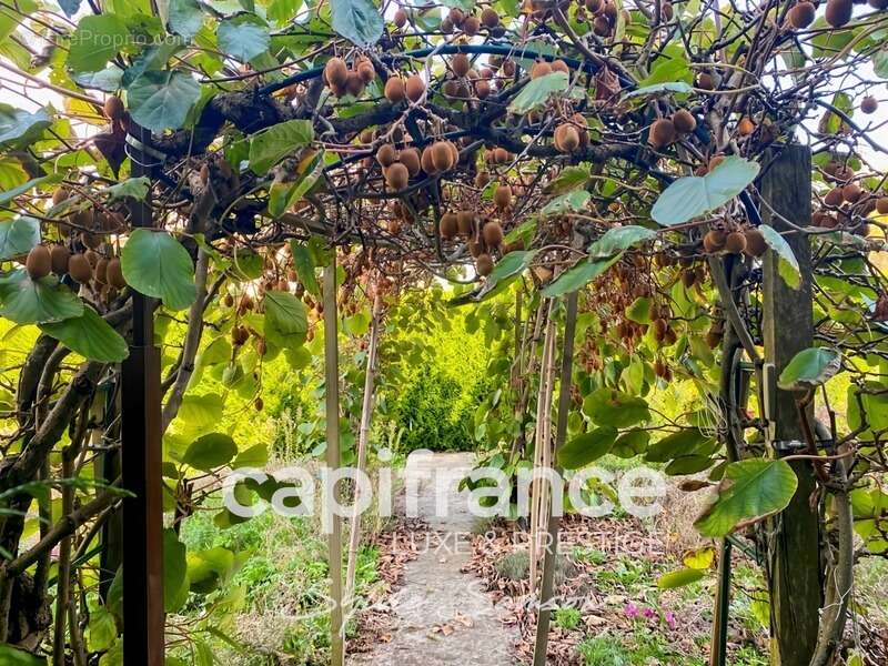 Maison à BREUIL-BOIS-ROBERT