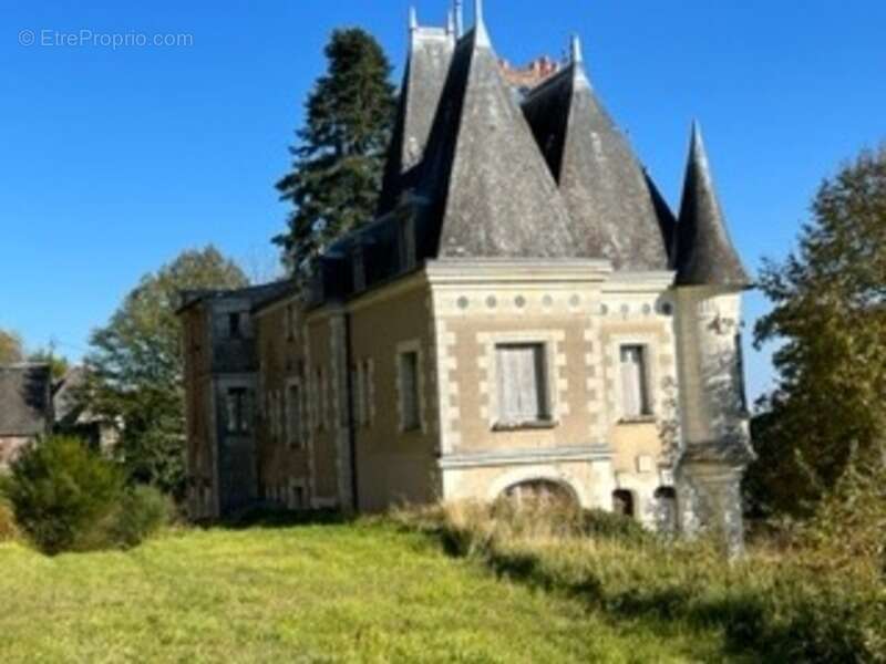 Sublime château édifié au XVI°et remanié au XIX° surblomblant la vallée de la Loire entre Amboise et Tours - photo 4