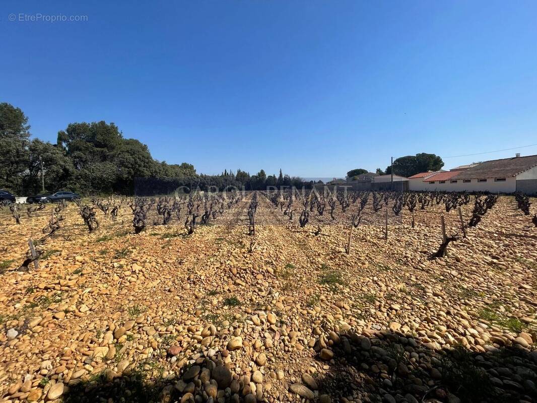 Terrain à SORGUES
