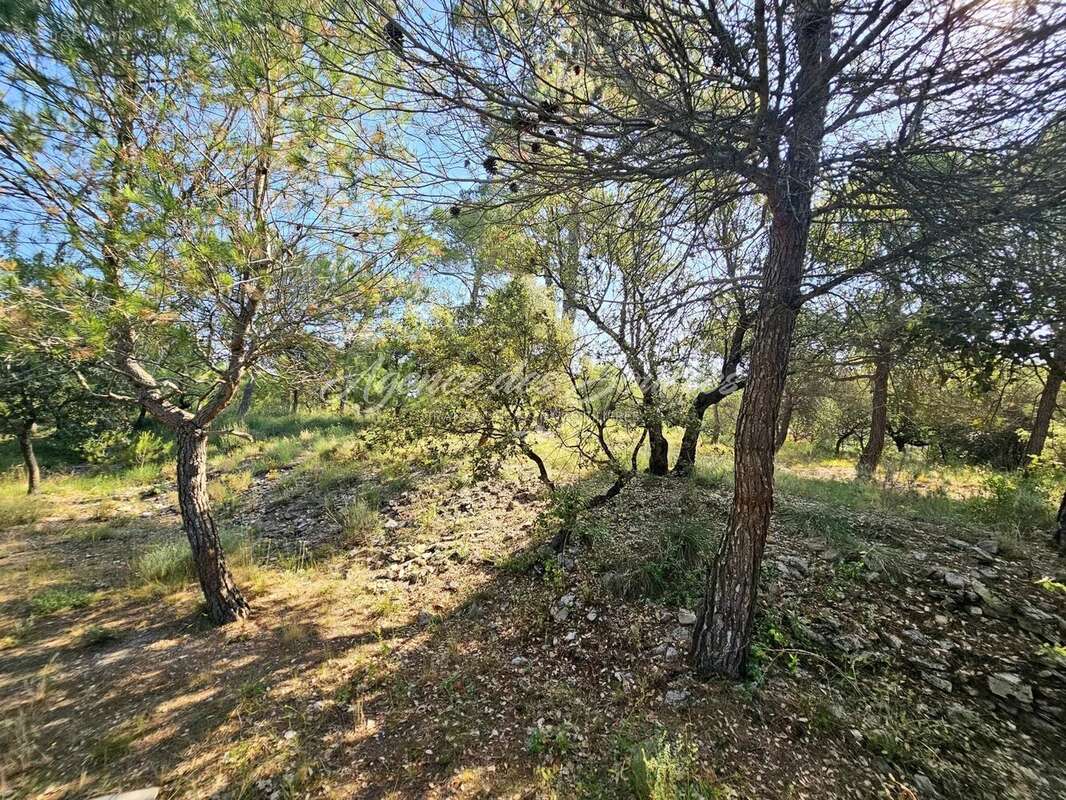 Maison à SAINT-MAXIMIN-LA-SAINTE-BAUME