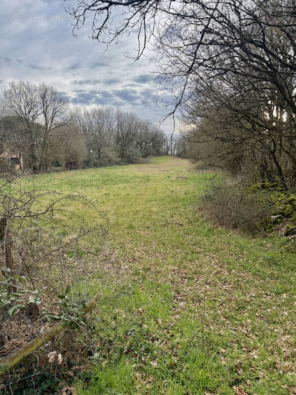 Terrain à VILLEFRANCHE-DE-ROUERGUE