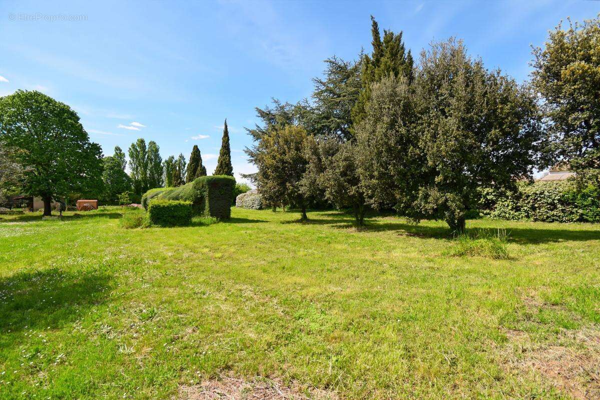 Terrain à SAINT-QUENTIN-LA-POTERIE