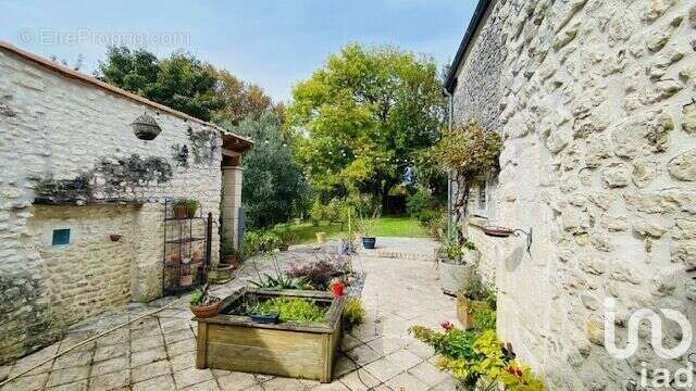 Photo 3 - Maison à MESCHERS-SUR-GIRONDE