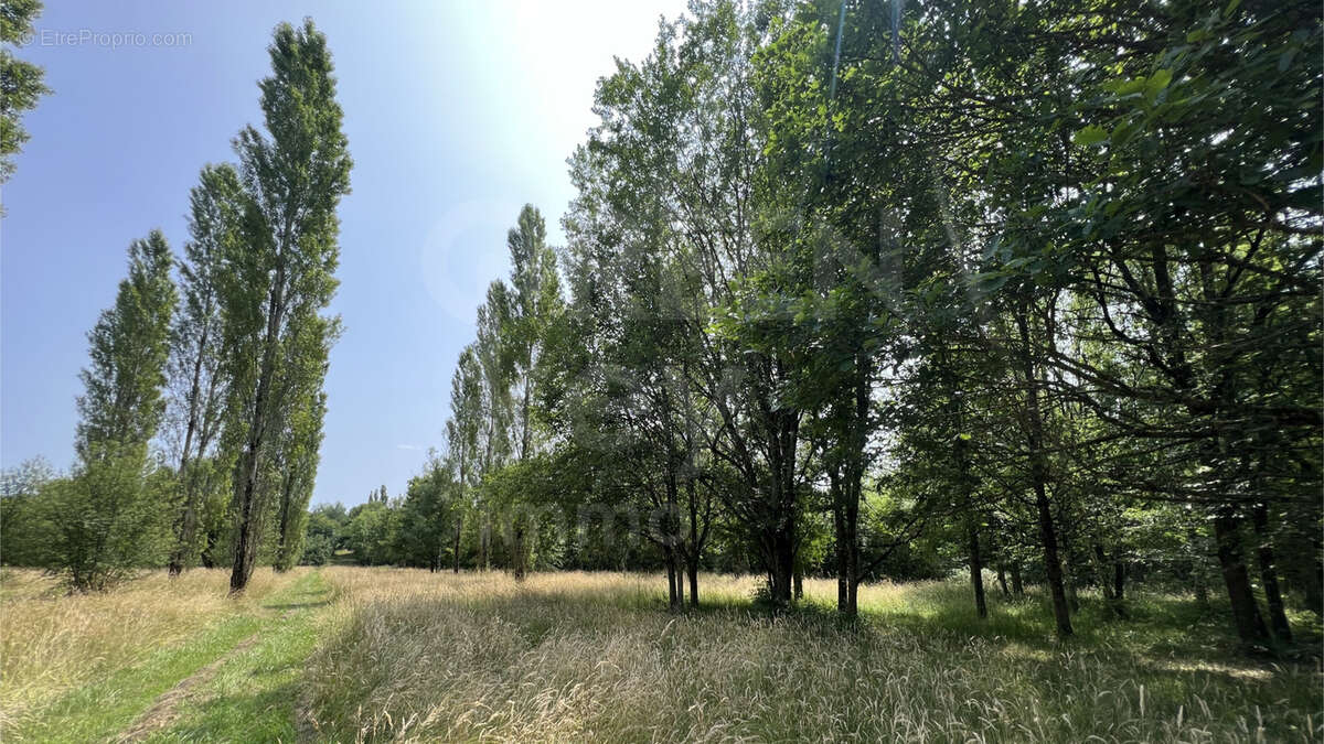 Maison à SAINT-SAUVEUR-EN-PUISAYE