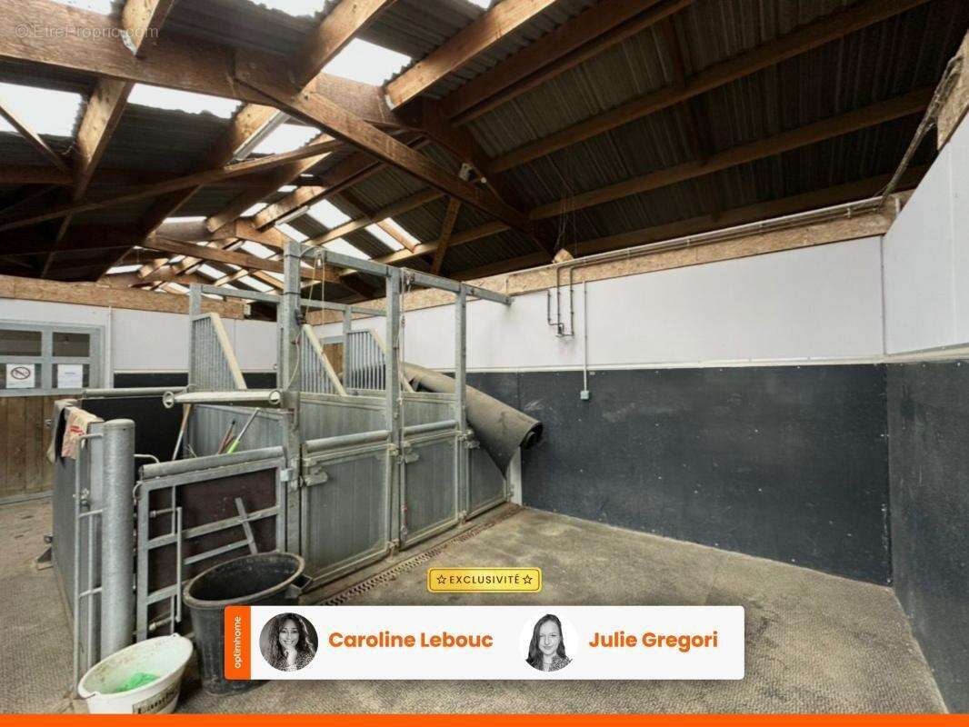 Propriété équestre professionnelle d’exception – Perche - photo 6
