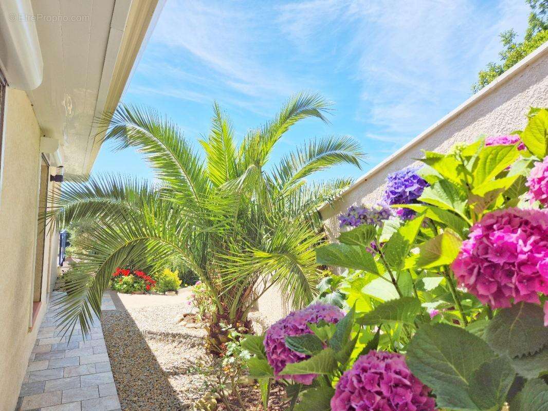 Maison à SAINT-VINCENT-D&#039;OLARGUES