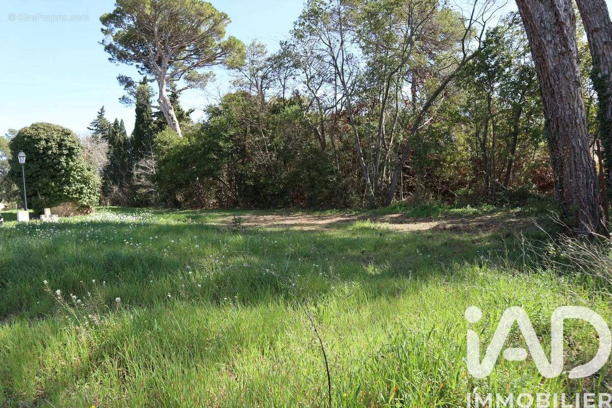 Photo 1 - Terrain à ESCALES