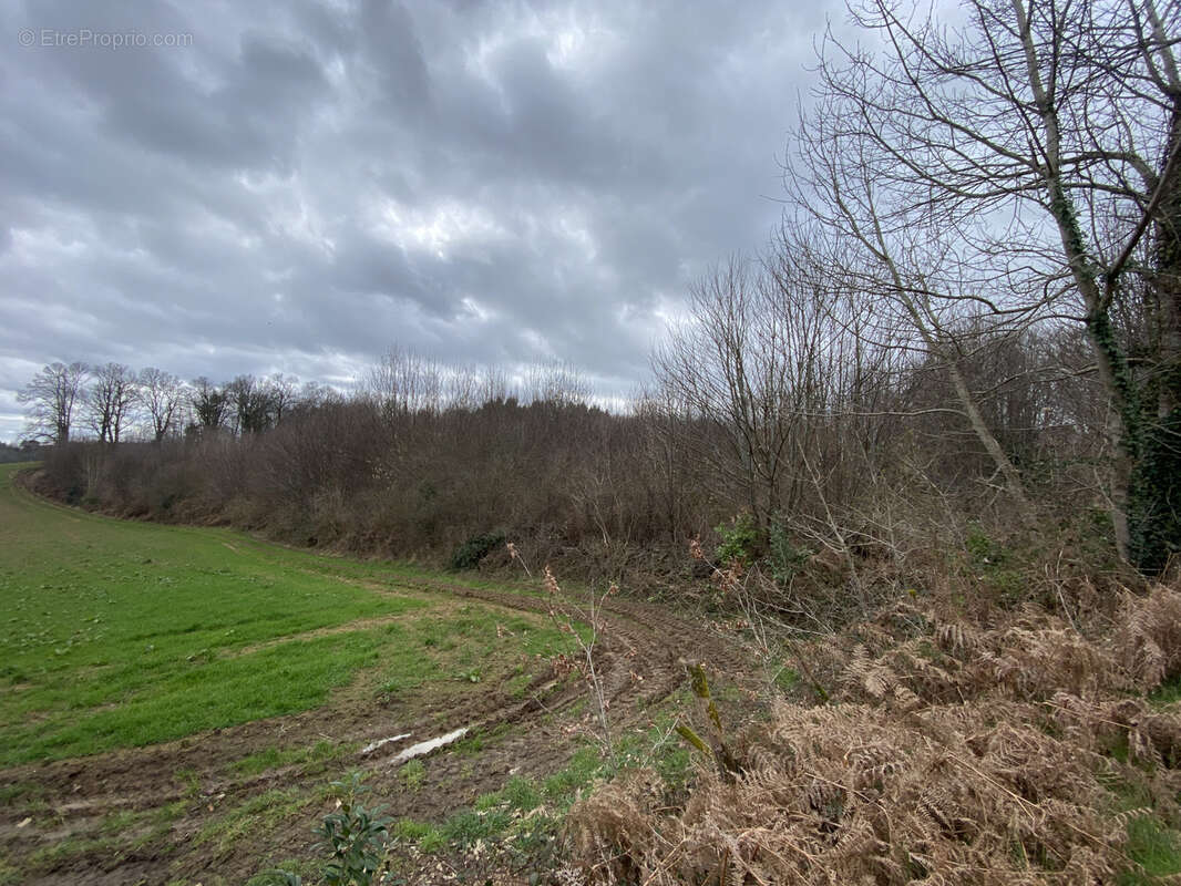 Terrain à SAINT-PARDOUX-L'ORTIGIER