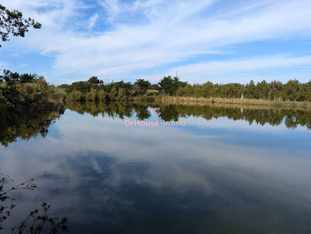Terrain à L'ILE-D'OLONNE