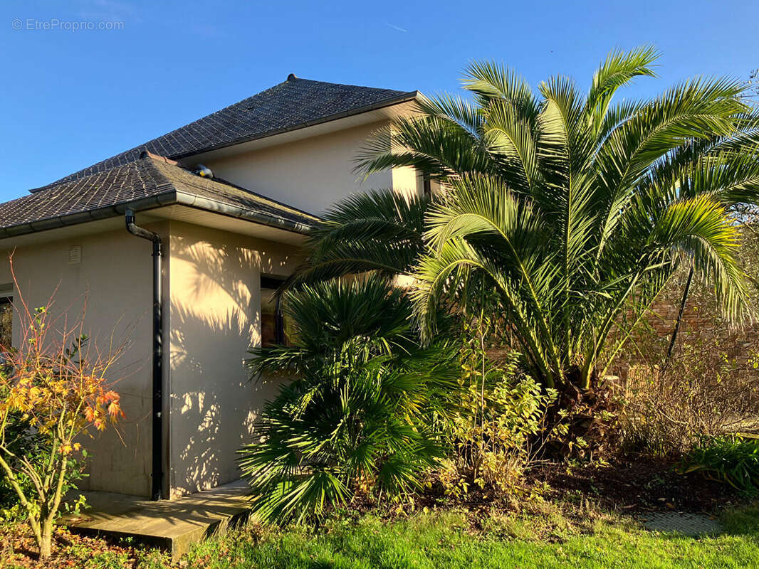 Maison à SAINT-ALBAN