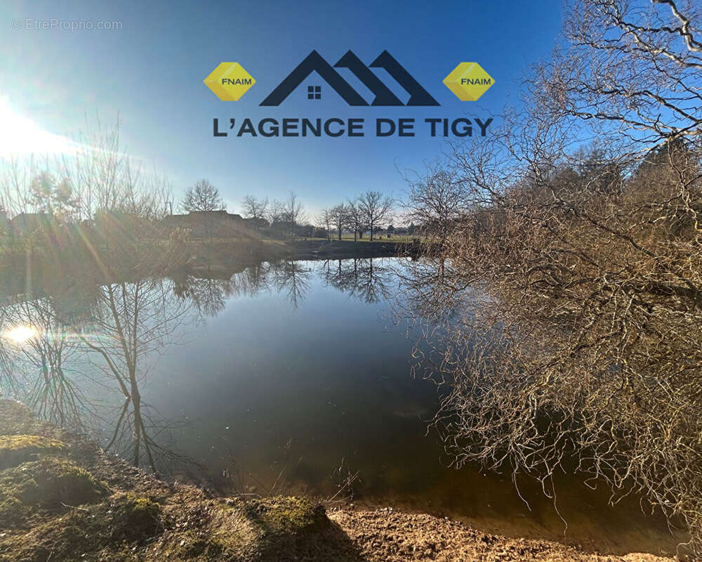 Maison à NEUVY-EN-SULLIAS