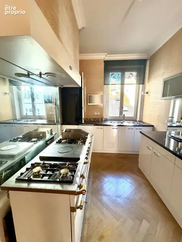 Appartement 3 pièces 111 m² à vendre à Saint-Etienne (42000) - photo 8