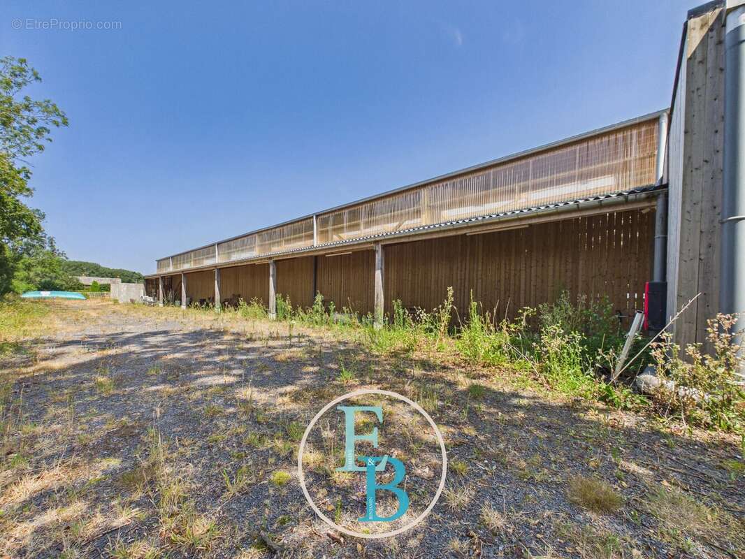 Grangues (pays d'auge) - centre d'entrainement et de reeducation equin avec balneotherapie - photo 27