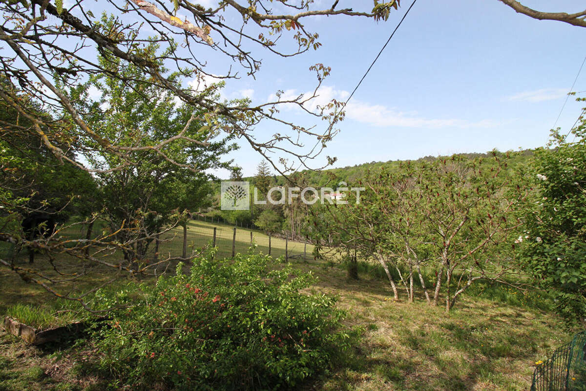 Maison en pierre Château L'Evêque 4 pièces 143 m2 - Dépendances - photo 17