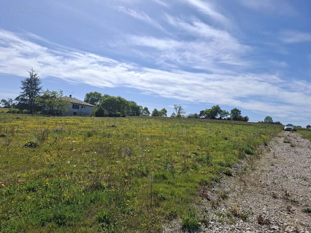 Terrain à SAINT-CRICQ-CHALOSSE