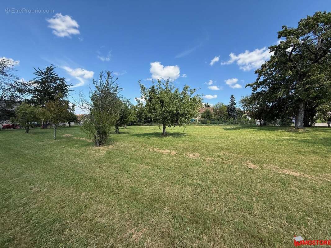 Terrain à MUESPACH-LE-HAUT