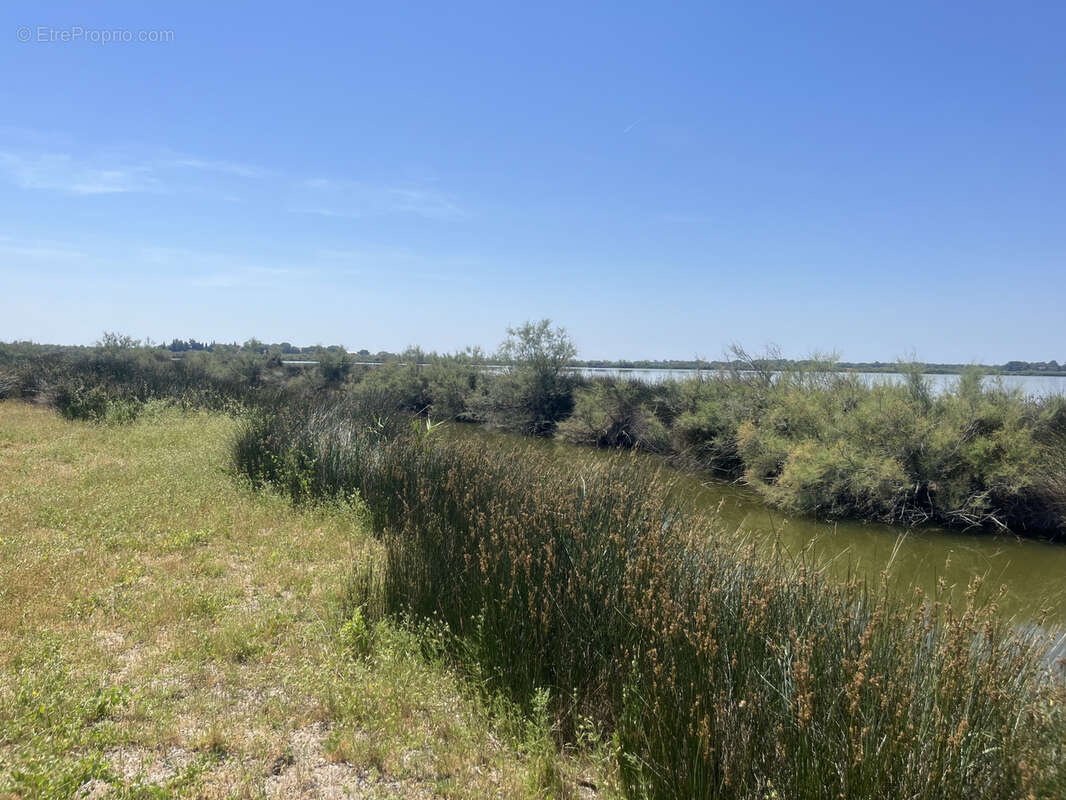 Terrain à AIGUES-MORTES