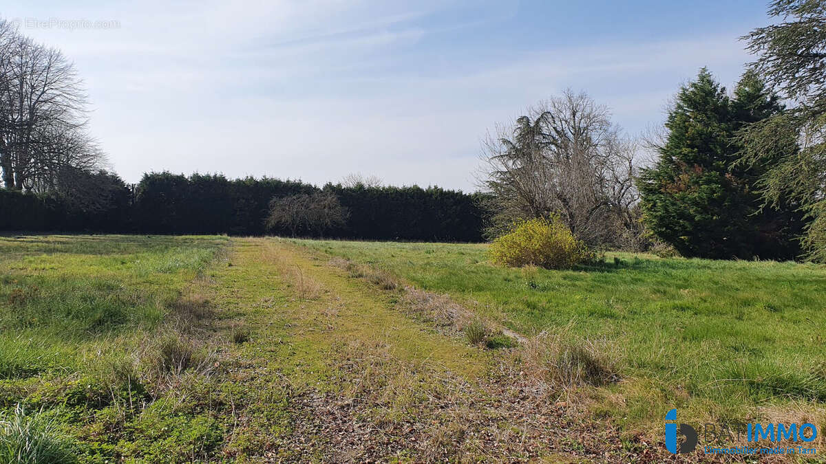 Terrain à MAZAMET