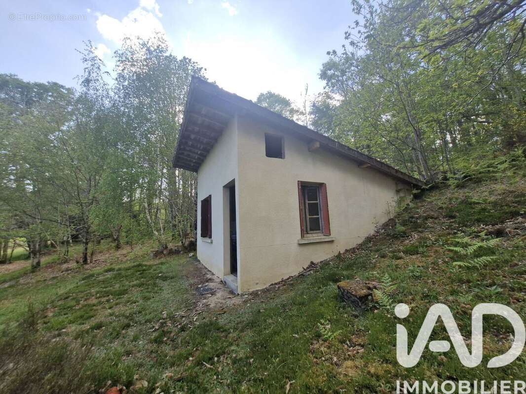 Photo 6 - Terrain à COGNAC-LA-FORET