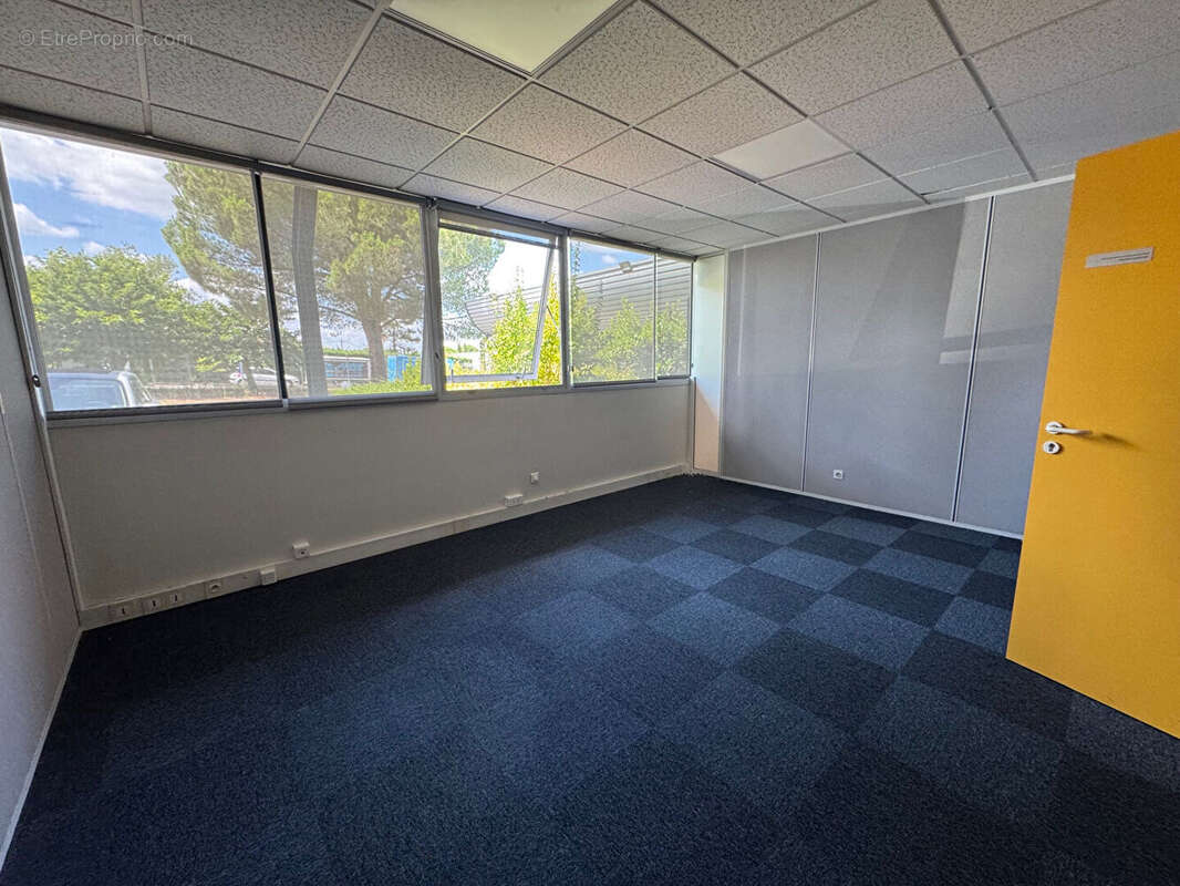 Commerce à MONDOUZIL