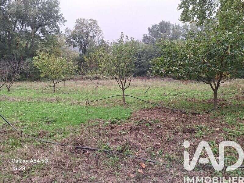 Maison 164 m² à Montbolo  - photo 3