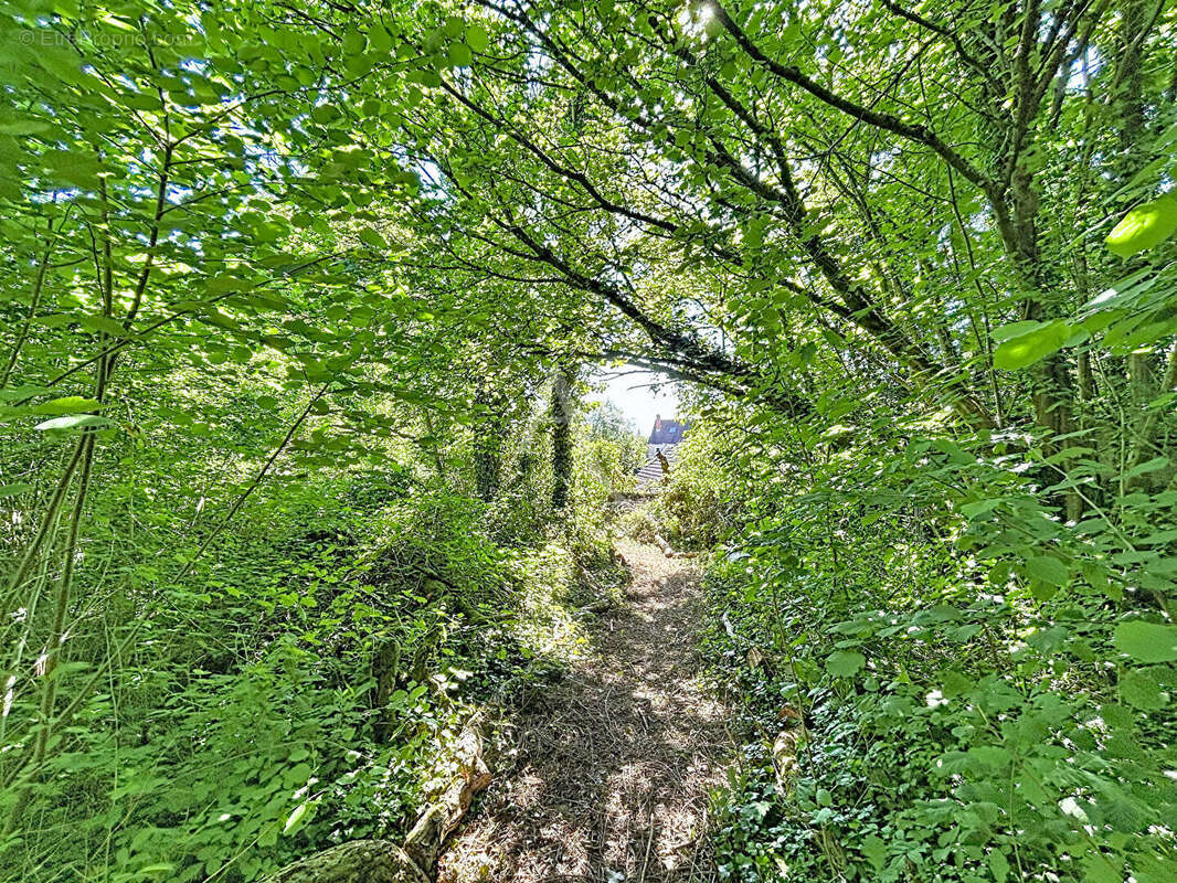 Terrain à RUBELLES