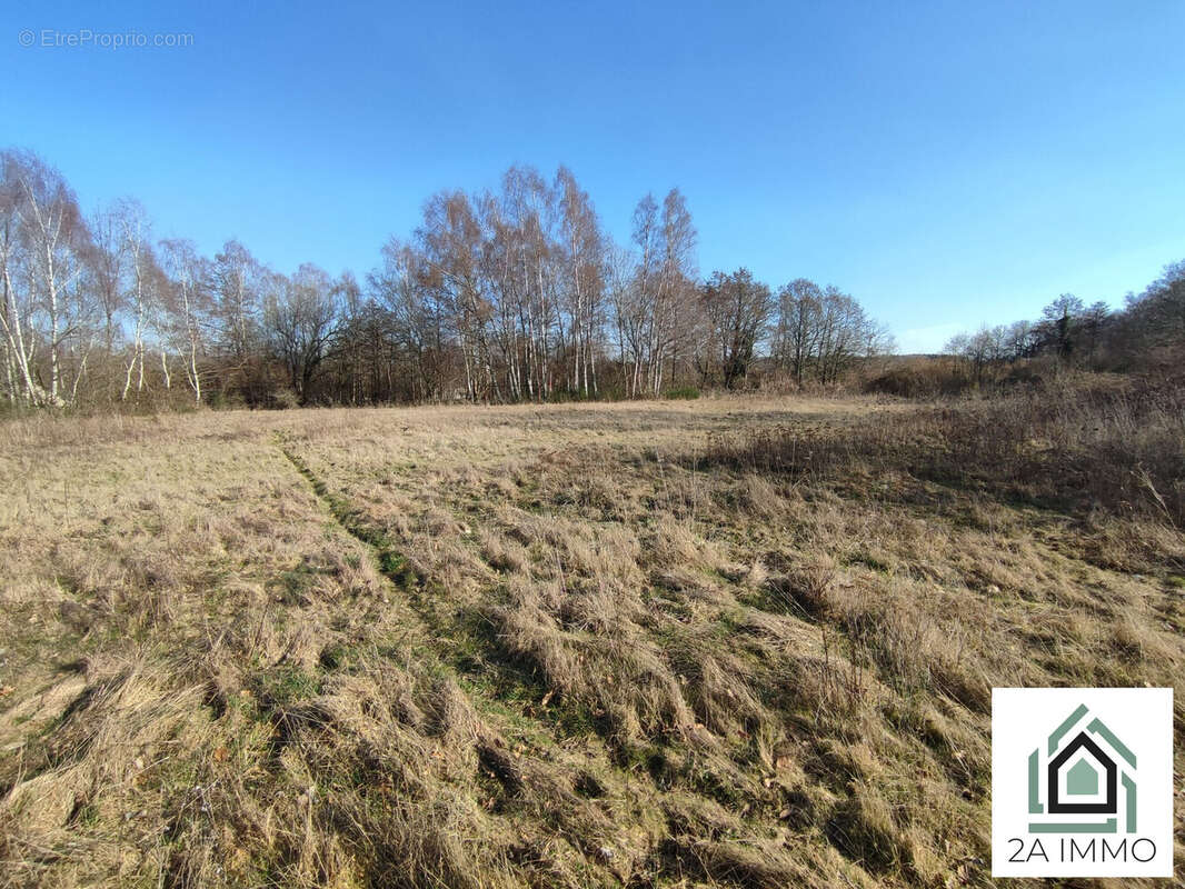 Maison à CHAPDES-BEAUFORT