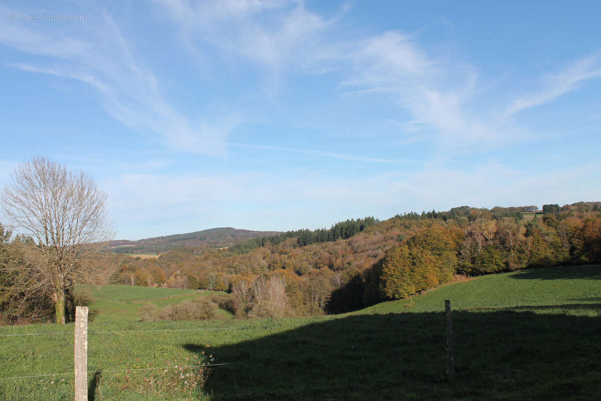 Maison à SAINT-PRIEST-LES-FOUGERES