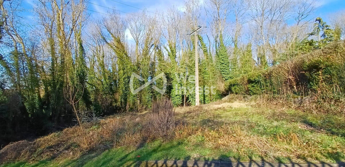Terrain à VILLEMAREUIL