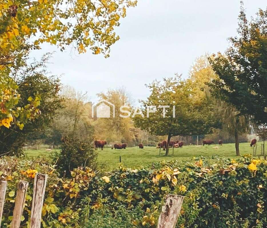 Photo 2 - Maison à HESDIN